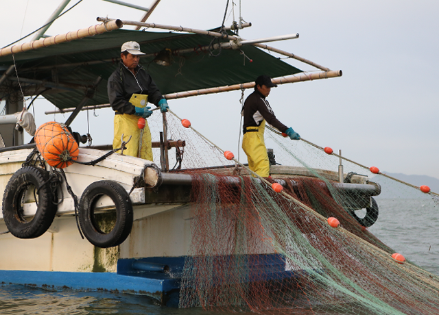 漁法 の 紹介
