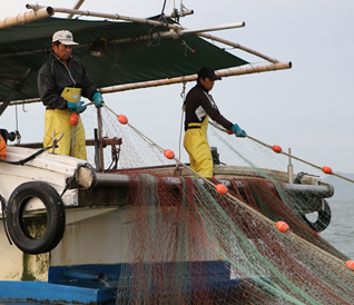 瀬戸内の伝統漁法『ごち網漁』